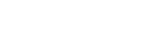 dualmind logo